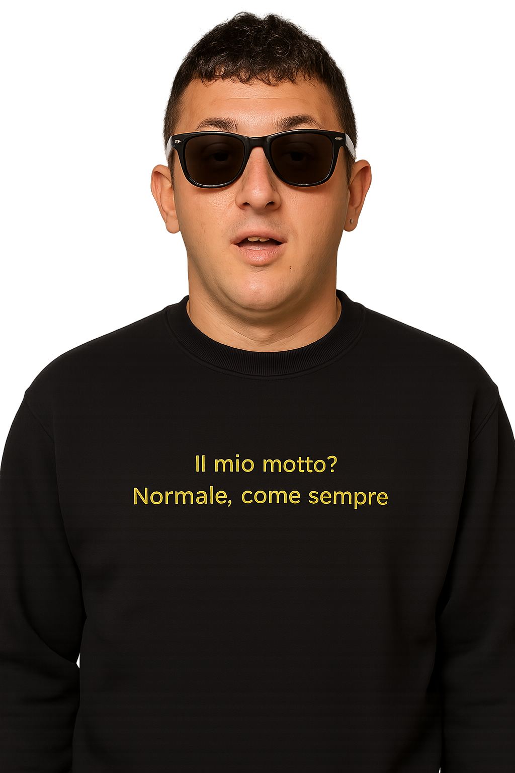 Felpa girocollo unisex Ricamata | Il mio motto? normale, come sempre.