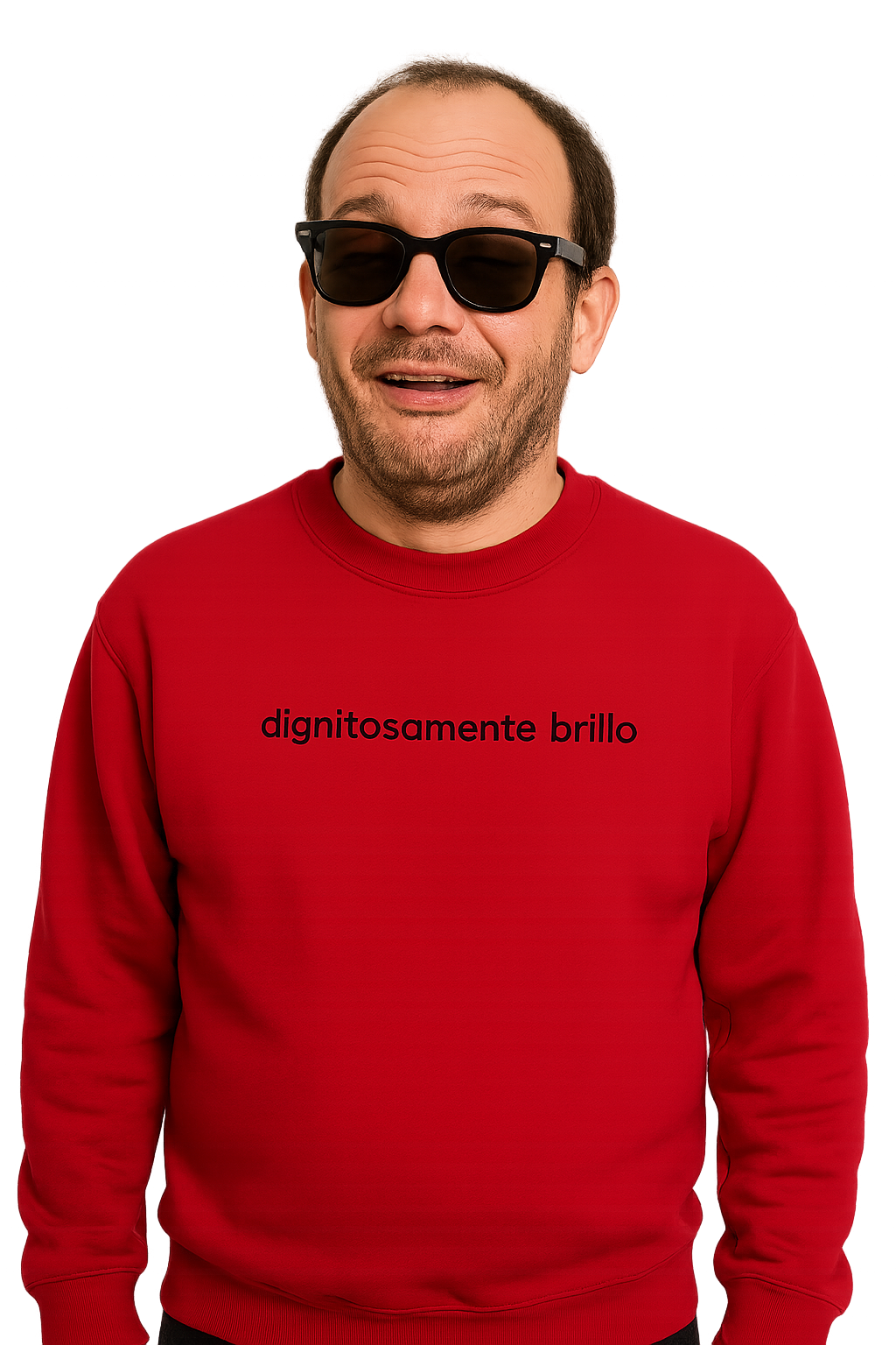 Felpa girocollo unisex Ricamata | Dignitosamente Brillo