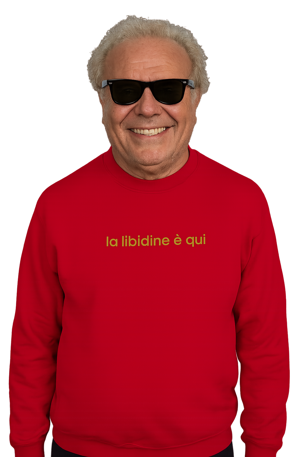 Felpa girocollo unisex Ricamata | la libidine è qui