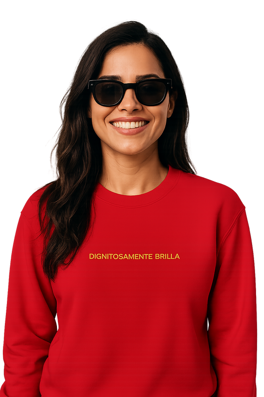 Felpa girocollo unisex ricamata | dignitosamente brilla