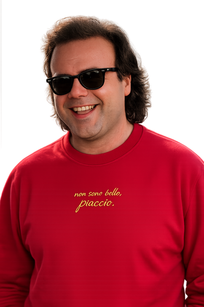 Felpa girocollo ricamata | non sono bello, piaccio.