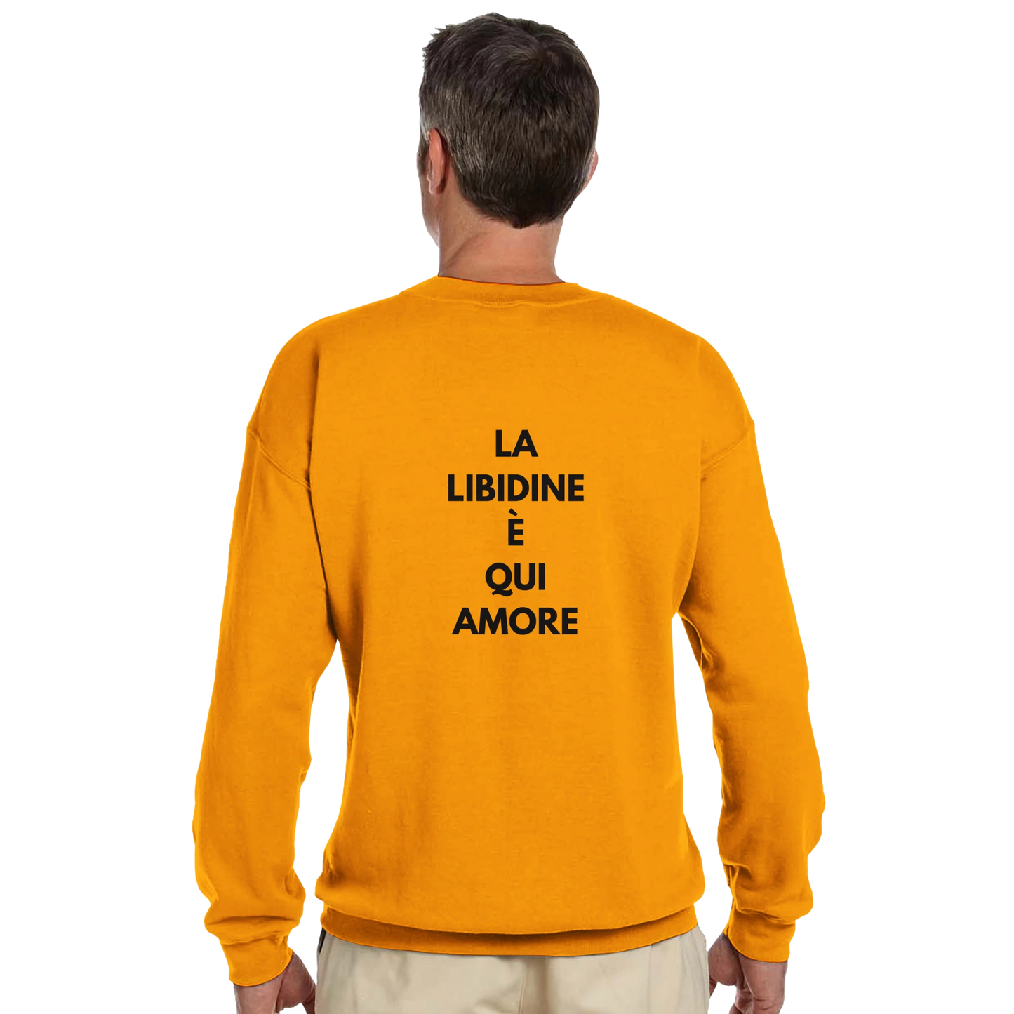 6a579489-b104-45d7-9c86-1f9f14153677